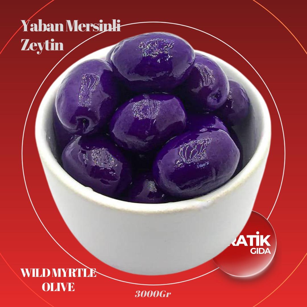 Yaban Mersinli Zeytin